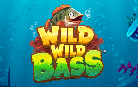 Wild Wild Bass